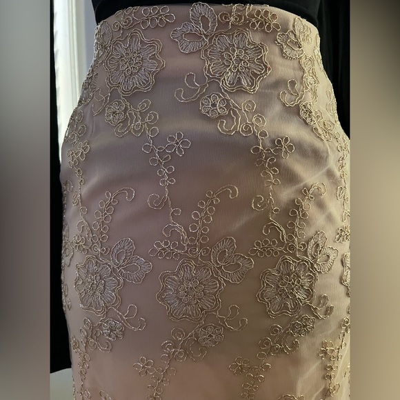 Womens small champagne color skirt, NWT! - Picture 4 of 5